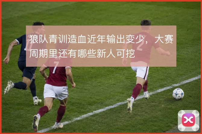 狼队青训造血近年输出变少，大赛周期里还有哪些新人可挖