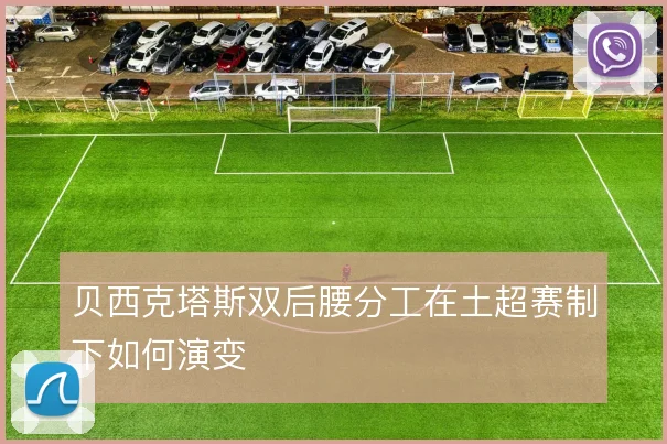 贝西克塔斯双后腰分工在土超赛制下如何演变