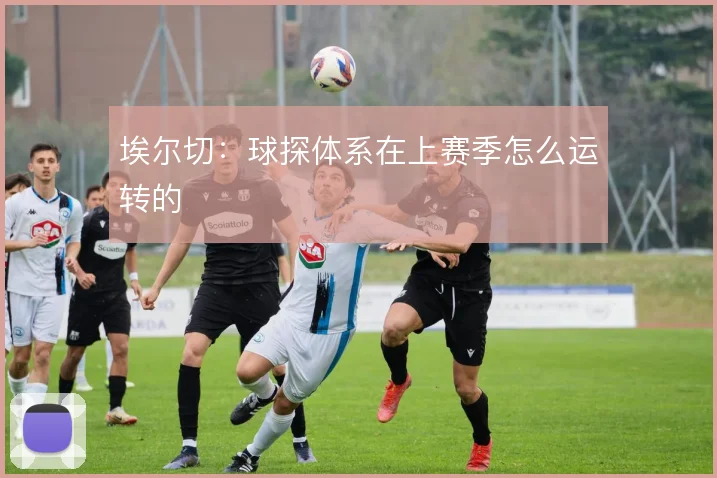 埃尔切：球探体系在上赛季怎么运转的